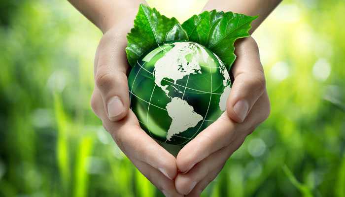 Ultimate Bliss Global Green Environment Movement